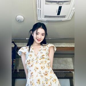 NWT Doen Di anne Dress